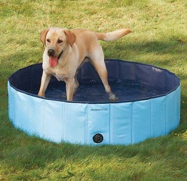 Outdoor Portable Dog Pool