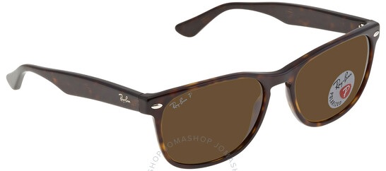 Ray-Ban Polarized Brown Classic Square Sunglasses