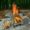 Wood Burning Folding Survival Emergency Stove